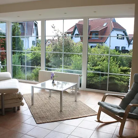 Nyaraló Sandregenpfeifer